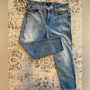 Judy Blue Boyfriend Jean